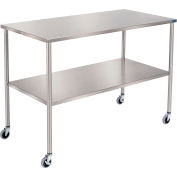 ™ Global Industrial Instrument Table avec étagère, acier inoxydable, 48"L x 24"L x 34"H