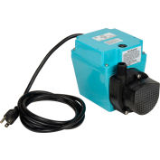 Little Giant 503103 3E-12N petite pompe Submersible - Dual Purpose-115V-500 GPH à 1'