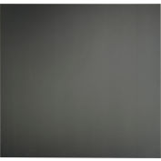 Genesis lisser dalle de plafond PVC Pro 740-07, imperméable à l’eau & lavable, 2' L X 2' W, noir satiné - 12/carton
