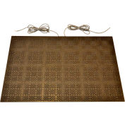 Tapis pour interrupteur de sécurité 24 po x 72 po Bircher Reglomat CESM-21CB-2472