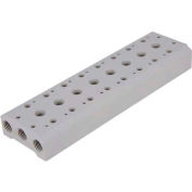 Bimba-Mead collecteur M100M-2F, 2 Station, utilisez avec Valve M4V100