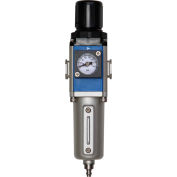 Bimba-Mead, Filter/Regulator, MGAFR200-08-SM-D, 1/4" NPT Ports, Manual Drain, Metal Bowl
