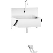 Blickman Single Station Windsor Scrub Sink, Wall Mounted with Foot Action Control, Stainless Steel