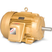 Baldor-Reliance Motor EM4316T, 75HP, 1780RPM, 3PH, 60HZ, 365T, 1482M, TEFC, F1