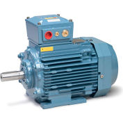 Baldor-Reliance Metric IEC Motor,Flameproof,MM13754-EX3,3PH,400/690V,1500RPM,7.5/10 KW/HP,50HZ,D132
