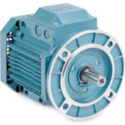 Baldor-Reliance Metric IEC Motor, MVM06184D-AP,3PH,230/400/460V,1500/1800RPM,.18/.25 KW/HP,50/60Hz