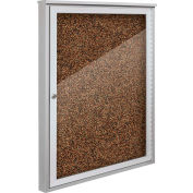 Balt® météo sentinelle extérieur clos Cabinet - 1 porte - W 36" x 48" H Tan