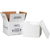 Kit d’expédition isolant réutilisable et recyclable, 9-1/2"L x 9-1/2"W x 7"H, Blanc