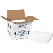 Global Industrial™ Foam Insulated Shipping Kits, 10-1/2"L x 8-1/4"L x 9-1/4"H, Blanc, 2/Pack