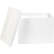 Global Industrial™ Insulated Foam Containers, 12"L x 10"W x 9"H, White, 1 Pack