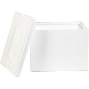 Global Industrial™ Conteneurs en mousse isotherme, 12 « L x 10 » L x 9 « H, Blanc, 1 Pack