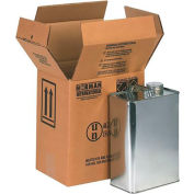 Global Industrial™ Haz Mat Boxes Deux boîtes de style F de 1 gal., 8-7/8"L x 6-5/8"L x 10-1/4"H, 20/Pk