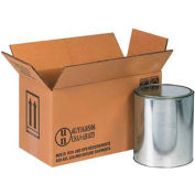 Global Industrial™ Haz Mat Boxes Deux pots de peinture de 1 gal., 14-1/8"L x 6-7/8"L x 7-7/8"H, 20/pk