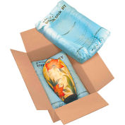 Instapak Quick® Room Temperature Expandable Foam Bags, 15"W x 18"L, 36/Pack