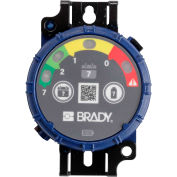Brady® 150740 Brady Inspection Timer, 7 Jours, 10 Pack, Lumières LED, ABS Plastic, Bleu