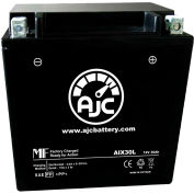 Batterie AJC Harley-Davidson FLHTCUTG FLHXS (Touring) 1690CC Motorcycle Battery (2014), 30 Ampères, 12V