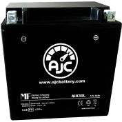 AJC Battery Polaris RZR 900CC UTV Battery (2011-2017), 30 Amps, 12V, B Terminals