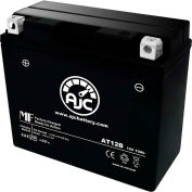 AJC Battery Ducati Multistrada 1200CC Motorcycle Battery (2010-2016), 10 Amps, 12V, E Terminals
