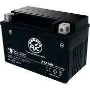 AJC Battery Honda DN-01 680CC Motorcycle Battery (2009-2013), 11.2 Amps, 12V, B Terminals
