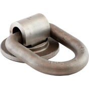 Produits acheteurs B51 Weld-On Forged 360 ' Rotation 1" D-Ring - Gris