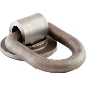 Buyers Products B51 Weld-On Forged 360° Rotating 1" D-Ring - Gray