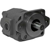 Hydrastar H21 Series Hydraulic Pump, H2136173, 2/4 Bolt, 2500 Max Pressure, 1" Keyed 1/4 KW Shaft