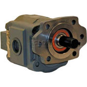 Hydrastar H50 Series Hydraulic Pump, H5036203, 2/4 Bolt, 2500 Max Pressure, 1" Keyed 1/4 KW Shaft