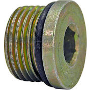 Les acheteurs filetage cylindrique joint torique hexagonale Plug, H7238x12, 3/4" Port taille - Qté Min 20