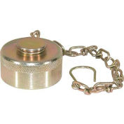 Acheteurs aile Type Quick Detach Coupleur hydraulique, QDDC241, 1-1/2" TNP coupleur, poussière Cap W/chaîne