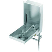 Bradley S19294JBT Barrier Free Concealed Swing-Down Eye/Face Wash with P-Trap