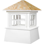 Coupole de Brookfield de bonnes orientations 18 "x 22", blanc