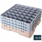 Cambro 36S800110 - Camrack Glass Rack 36 Compartments 8-1/2" Max. Height Black - Pkg Qty 2