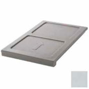 400DIV180 cambro - ThermoBarrier, 21-1/4 x 13 x 1-1/2, amovible isolé du plateau, gris