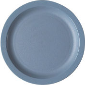 Cambro 825CWNR401 - Plate Narrow Rim, 8 1/4",  Slate Blue - Pkg Qty 48