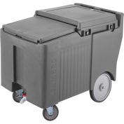 cambro ICS175LB191 - glace Caddy, Gray, 125 lbs Cap, bref, pivotant 2, 1 w/frein, roues facile 2, 10"