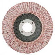 CGW abrasifs 43101 à lamelles abrasives 4-1/2" x--36 Grit aluminium, qté par paquet : 10