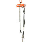 CM ShopAir Chain Hoist, 600 lb, 10 pi ascenseur, ascenseur 16 pi/min, 42 pi/min plus bas