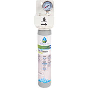 Manitowoc Arctic Pure Plus AR-10000-P, Primary Water Filter Assembly