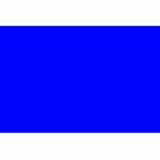 Rectangular Blank Paper Labels, 4"L x 2-3/4"W, Dark Blue, Roll of 500