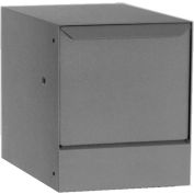 dVault traversant mur paquet Drop avec Tilt-Out Door VWM0062S - Gray