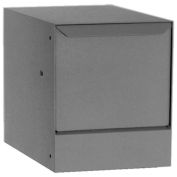 dVault traversant mur paquet Drop avec Tilt-Out Door VWM0062S - Gray