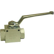 Dynamic DB2-24-SAE, High Pressure Ball Valve 1 7/8-12" Thread 5000 PSI