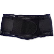 Ergodyne® ProFlex® 1051 Mesh Support dorsal, noir, Large