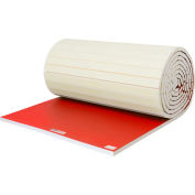 EZ Flex Sport Mats Wrestling Mat 2" Thick 42' x 40' Complete System Red