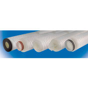 Grande pureté Polyethersulfone cartouche filtre 0,1 Micron - 2-3 / 4D x 10 H Viton Seal, 222 w/déf extrémités, qté par paquet : 6