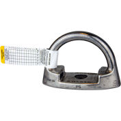 Gardien 5/8 » Ancre forgée D-Bolt, Acier galvanisé/Acier inoxydable Grade 410, 130-420 lbs. Capacité