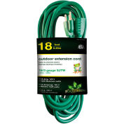 GoGreen Power ft16/3 SJTW 18ft Heavy Duty Extension Cord, GG-13718GN - Vert