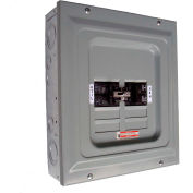 Commutateur de transfert manuel de charge unique de 2 500 watts 100 ampères Generac