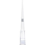 Globe Scientific Filter Pipette Tip,1-20uL, Universal, Low Retention, Graduated, 50mm, 1,920/Case