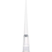 Globe Scientific Filter Pipette Tip, 1-100uL, Universal, Low Retention, Graduated, 50mm, 1,920/Case